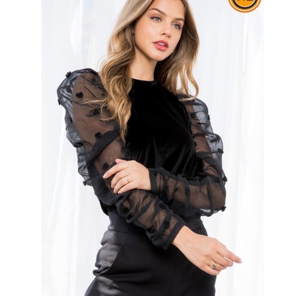 THML Velvet Sheer Sleeve Top Black NWT Large - Picture 1 of 13